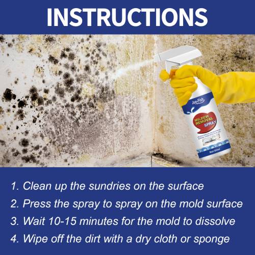 Schimmelentferner-Spray