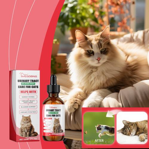 Ergänzungsfutter für Katzen