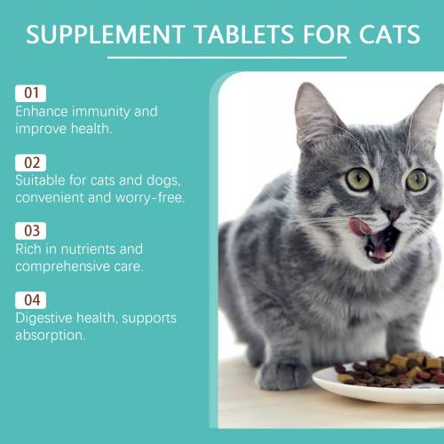 Probiotische Tabletten für Katzen