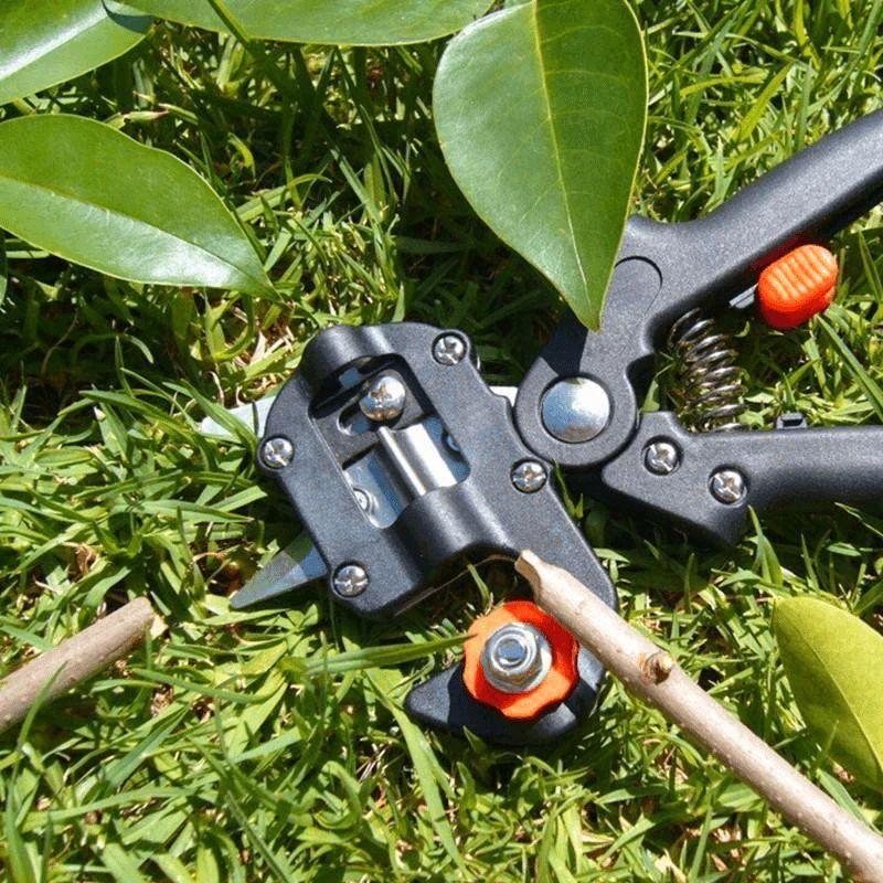 kaufsy | Professionelles Gartenveredlungswerkzeug-Set