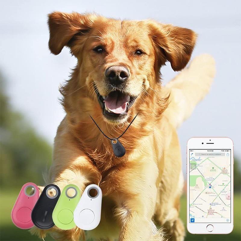 kaufsy | Smart GPS-Tracker für Haustiere