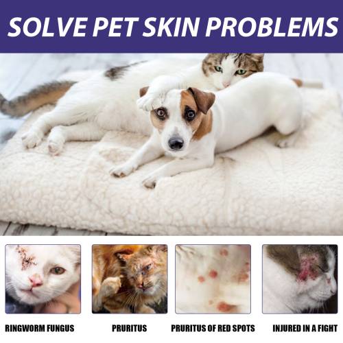 Zitrone Lavendel Haustier-Fellspray
