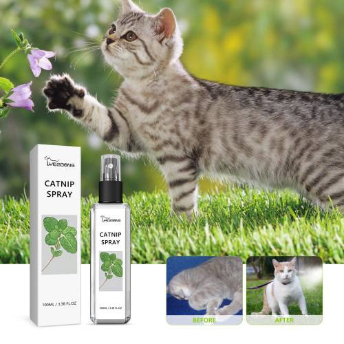Katzenminze-Spray