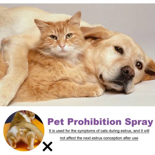 Haustier Beruhigungsspray