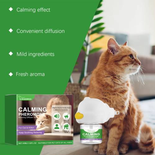Katzen-Beruhigungsset