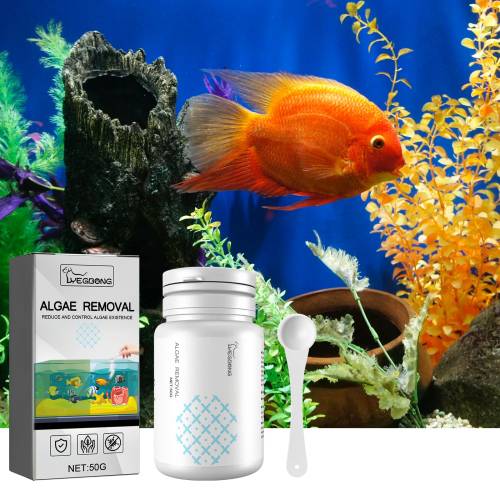 Aquarium Algenentferner