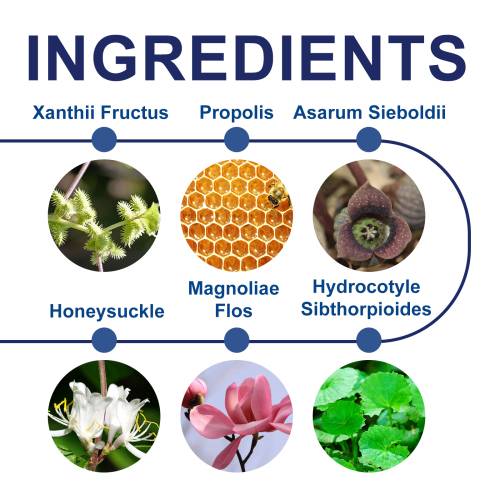 Propolis Kräuter Aroma-Inhalierstift