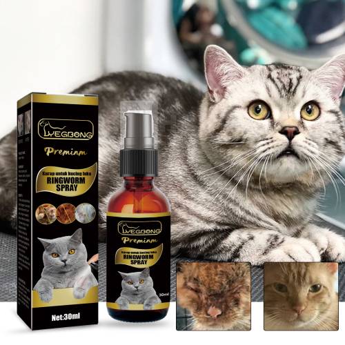 Kräuter Katzen-Hautspray