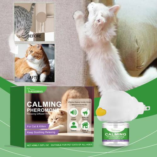 Katzen-Beruhigungsset