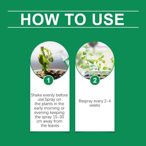Chlorophyll Pflanzenspray