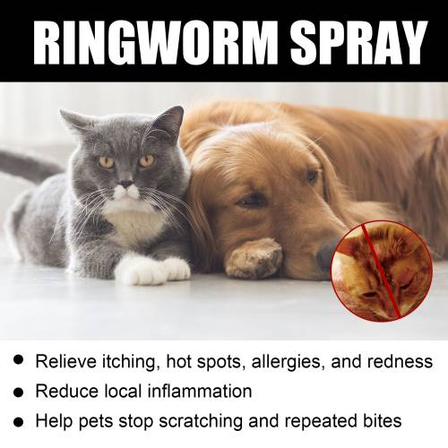 Kräuter Katzen-Hautspray