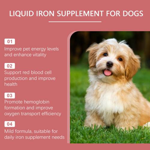 Ergänzungssirup für Hunde