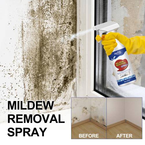 Schimmelflecken-Entferner Spray-Set