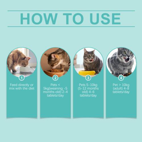 Probiotische Tabletten für Katzen