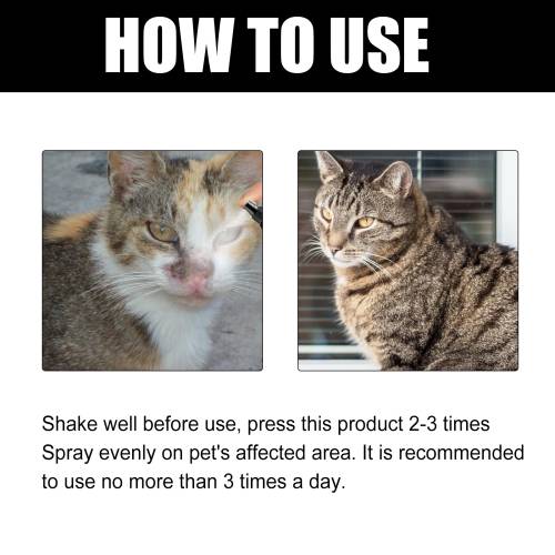 Kräuter Katzen-Hautspray