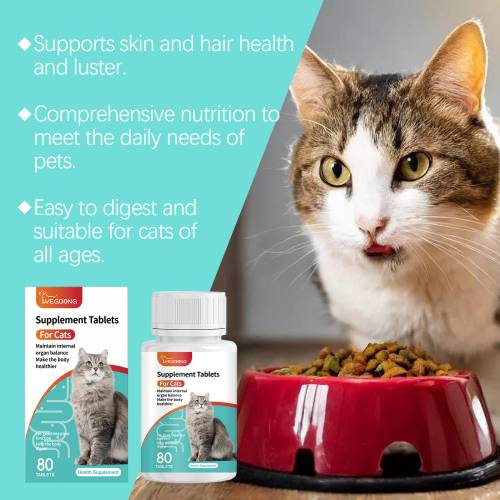 Probiotische Tabletten für Katzen