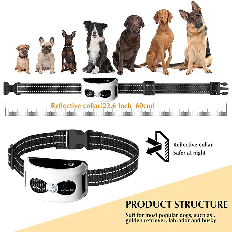 kaufsy | 2-in-1 Kabellose Hundezwinger und Outdoor Trainingshalsband