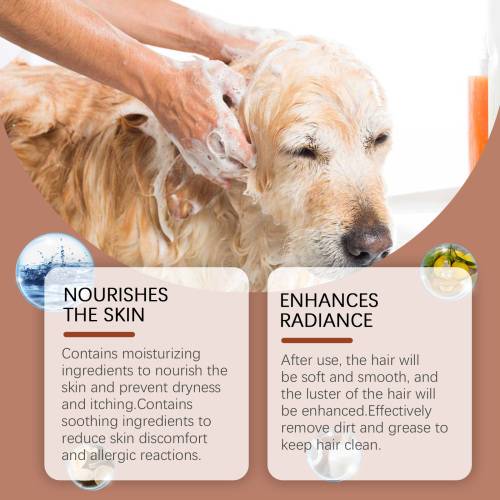Sanftes Pflegeshampoo für Hunde