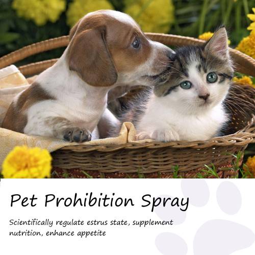 Haustier Beruhigungsspray