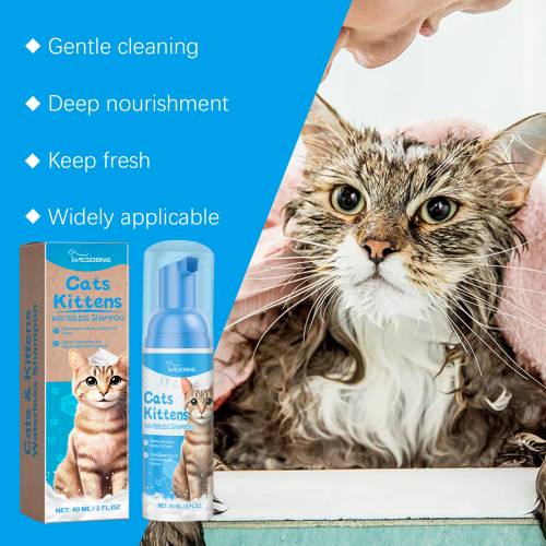 Katzen-Reinigungsschaum