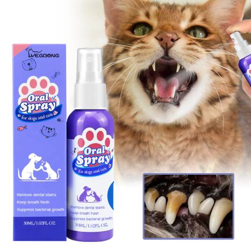 Haustier Mundpflege-Spray