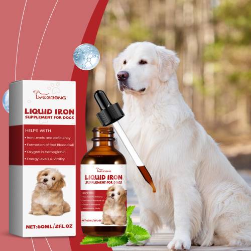 Ergänzungssirup für Hunde