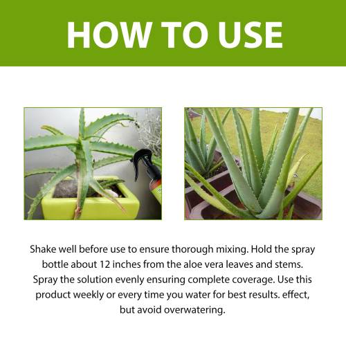 Aloe Vera 3-1-2 Flüssigdünger