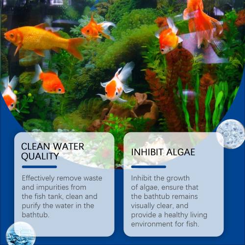 Aquarium Wasserklärer